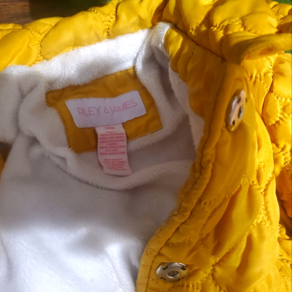 Baby Girl Toddler Lot Bundle Dresses Jackets Coats Fancy Church Sweater Winter - Picture 11 of 12